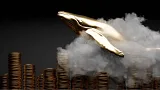 Veľryba kúpila 51 miliárd tokenov SHIB