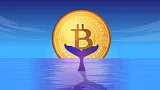 Veľryby akumulujú Bitcoin