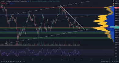 Bitcoin na supporte vlajky