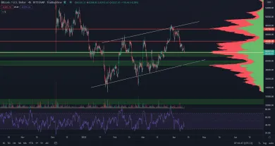 Bitcoin pokračuje v medvedej vlajke