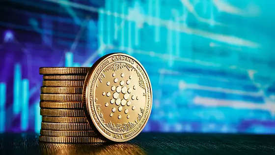 Cardano prežíva masívnu aktivitu