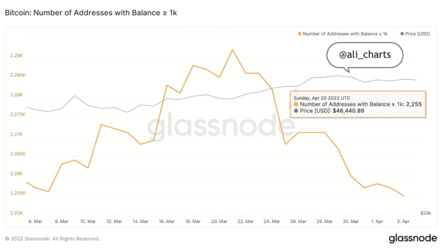 Peňaženky s viac ako 1 000 BTC