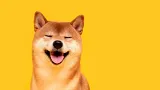 Shiba Inu a aktivita veľrýb