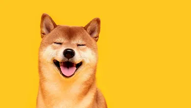 Shiba Inu a aktivita veľrýb