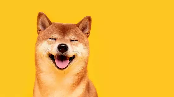 Shiba Inu a aktivita veľrýb