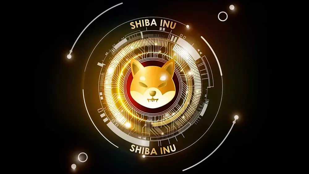 Shiba Inu zaznamená hype na Google