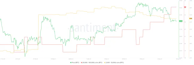 Nárast počtu hodlerov BTC