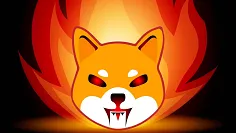 Veľké spaľovanie Shiba Inu