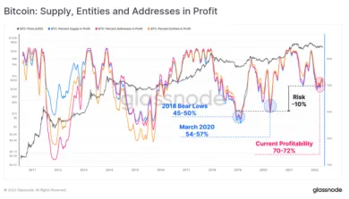 Bitcoin entity v zisku