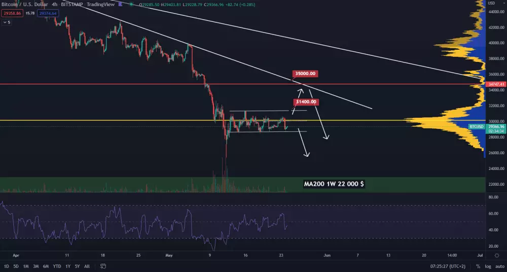 Bitcoin spadol znovu pod 30 000 $