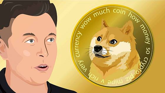Elon Musk: „Dogecoin sa môže stať menou internetu