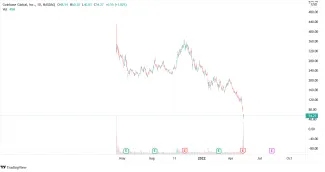 Graf: COIN/USD. 1D.