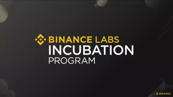 Binance Labs program