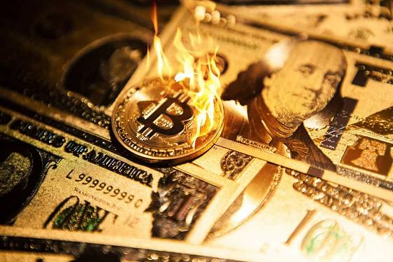 Bitcoin pôjde na 20 000 tvrdí skúsený analytik Coin Bureau