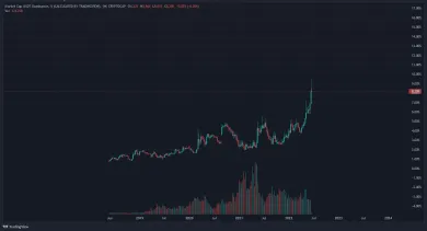 Graf: rast dominancie USDT Tether