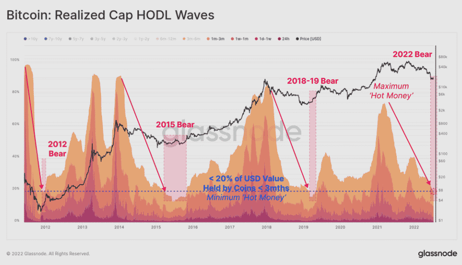 Bitcoin: hodlerské vlny