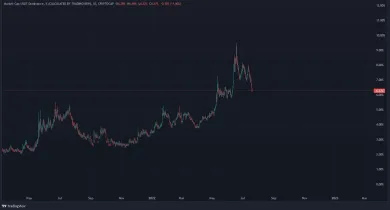 Graf: dominancia USDT