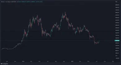 Graf: BTC/USDT. 1D