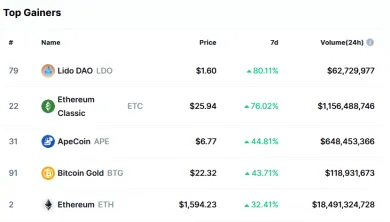 TOP 5 ziskových kryptomien z top 100 podľa Coinmarketcap