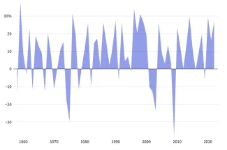 Ziskovosť indexu S&P 500 počas rokov.