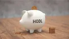 Bitcoin a metrika hodl waves.