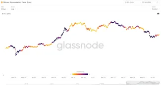 Bitcoin: accumulation trend score