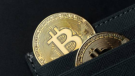 Bitcoin bude súčasťou väčšiny portfólií