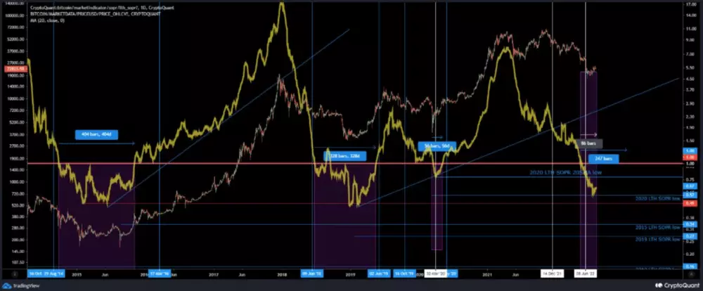 Bitcoin formuje dlhodobé dno