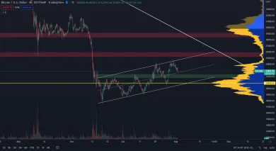 Bitcoin pokračuje v ceste na 22 000 dolárov