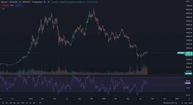 Bitcoin - trhová cena