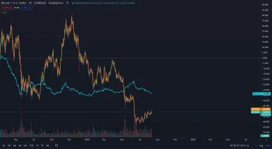 Bitcoin verzus dominancia