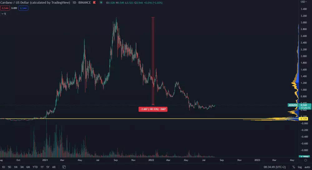 Cardano čaká raketový rast