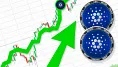 Cardano vzbudzuje veľký záujem veľrýb