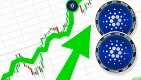 Cardano vzbudzuje veľký záujem veľrýb