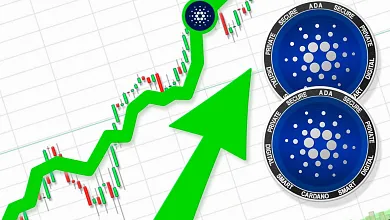 Cardano vzbudzuje veľký záujem veľrýb