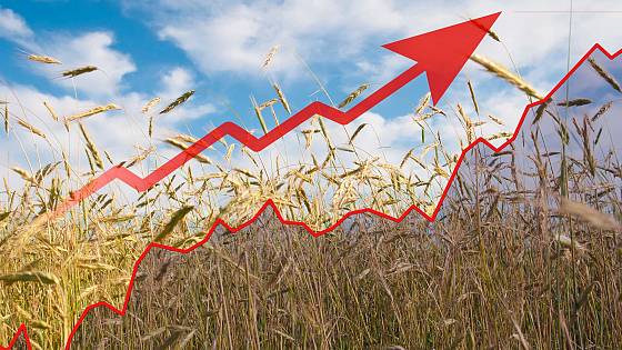 Ceny poľnohospodárskych výrobkov medziročne vzrástli o takmer 50 %