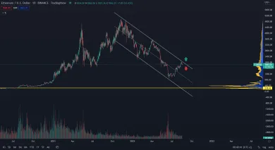 Ethereum trhová cena