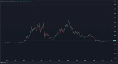 Graf: Polkadot/USDT. 1D.