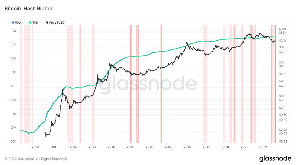 Hash ribbons Bitcoin