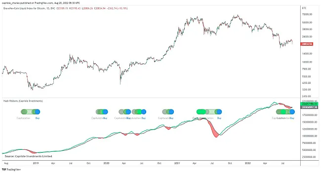 Indikátor Hash Ribbons