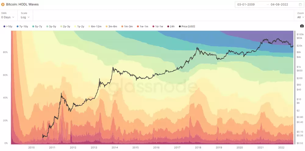 Bitcoin: HODL vlny