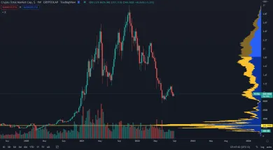 Kapitalizácia kryptomien