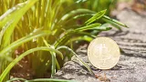 Uznávaný investor Mark Yusko: „Býči trh príde v roku 2024 keď nastane nový halving Bitcoinu