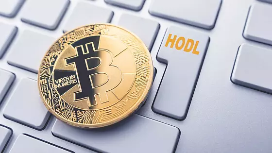 Bitcoin a dlhodobí držitelia.