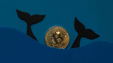 Bitcoin: aktivita veľrýb.