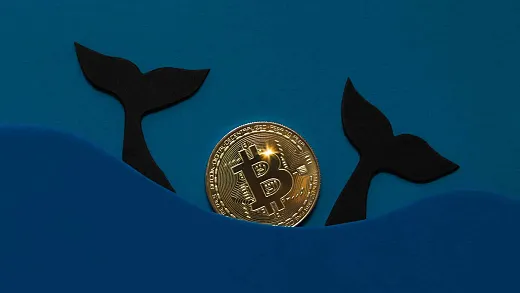 Bitcoin: aktivita veľrýb.