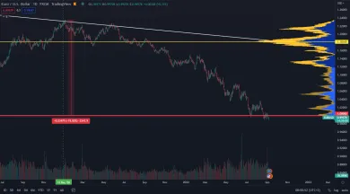 Euro je najslabšie za 20 rokov
