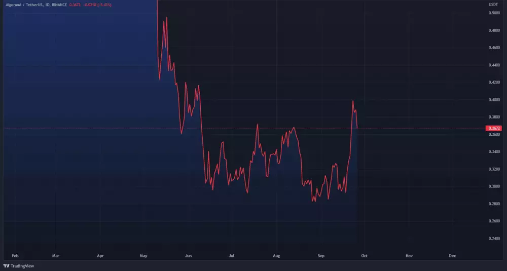 Graf: ALGO v rastúcom trende