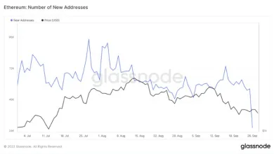 Ethereum: pokles nových adries