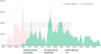 Stav opcií Bitcoinu